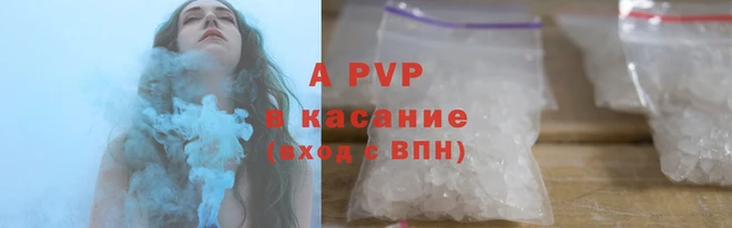 стаф Заводоуковск