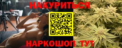 прущие крисы Шахты