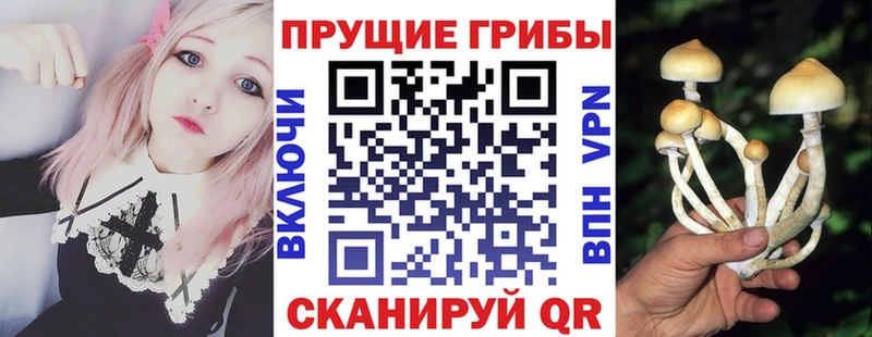 kraken ССЫЛКА  Радужный  Псилоцибиновые грибы ЛСД 