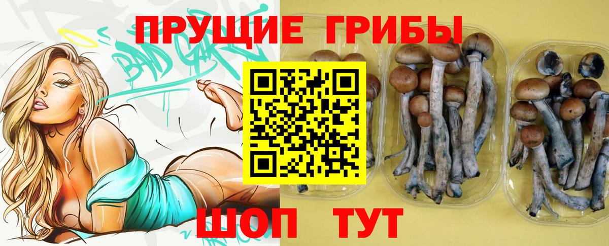 Псилоцибиновые грибы мухоморы Радужный